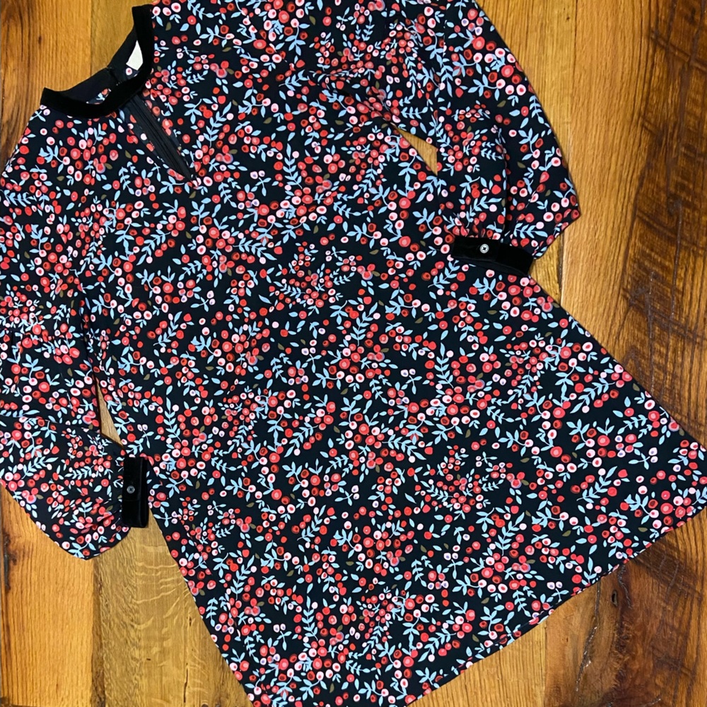 Loft Long Sleeve Dress in Fun Floral Print with Super Cute Details, Size Small